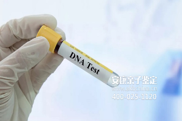 福建广东人口普查多少人没DNA 广东DNA亲子鉴定多少钱 